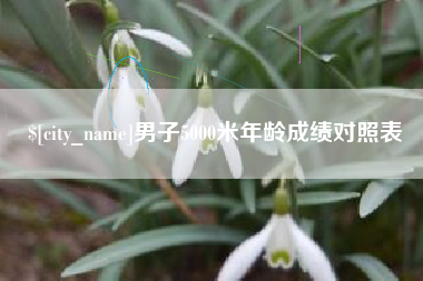 安溪男子5000米年龄成绩对照表