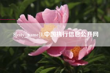 安溪1.中国执行信息公开网