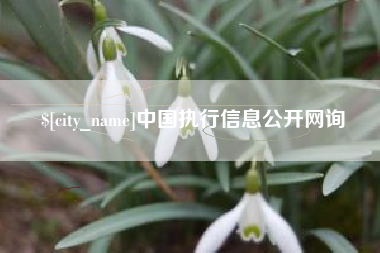 安溪中国执行信息公开网询