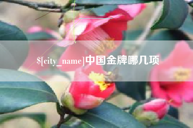 安溪中国金牌哪几项