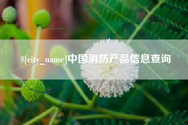 安溪中国消防产品信息查询