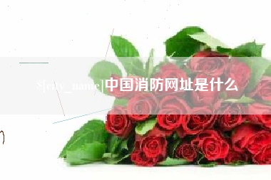安溪中国消防网址是什么