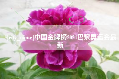 安溪中国金牌榜2024巴黎奥运会最新