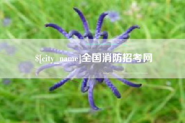 安溪全国消防招考网