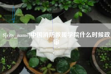 安溪中国消防救援学院什么时候政审