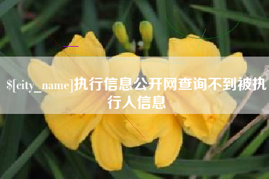 安溪执行信息公开网查询不到被执行人信息