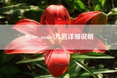安溪九宫详细说明