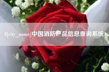 安溪中国消防产品信息查询系统1