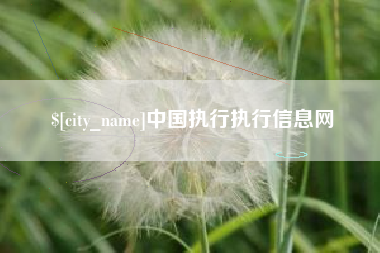 安溪中国执行执行信息网
