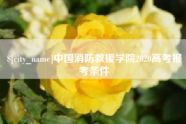 安溪中国消防救援学院2020高考报考条件