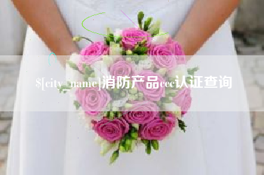 安溪消防产品ccc认证查询