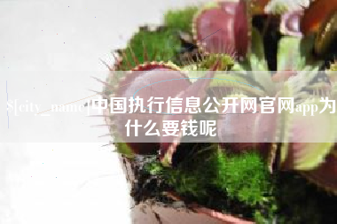 安溪中国执行信息公开网官网app为什么要钱呢