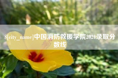 安溪中国消防救援学院2021录取分数线
