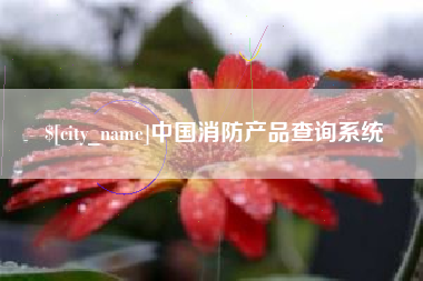 安溪中国消防产品查询系统