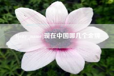 安溪现在中国哪几个金牌