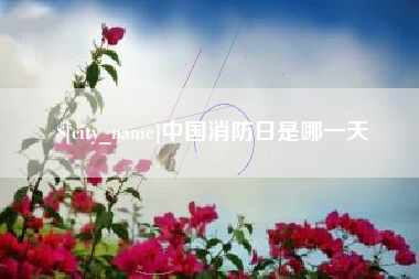 安溪中国消防日是哪一天