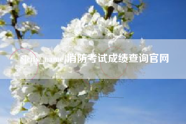 安溪消防考试成绩查询官网
