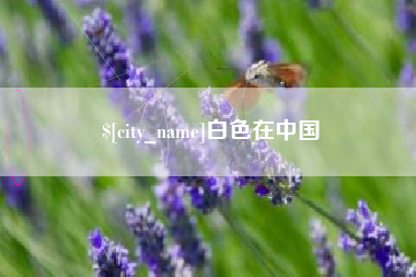 安溪白色在中国