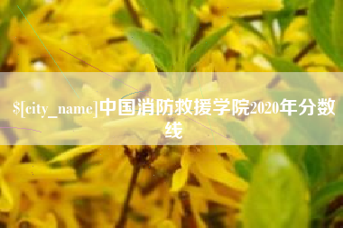 安溪中国消防救援学院2020年分数线