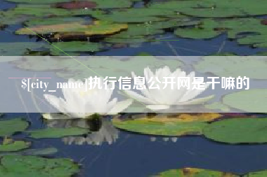 安溪执行信息公开网是干嘛的