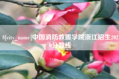 安溪中国消防救援学院浙江招生2020分数线