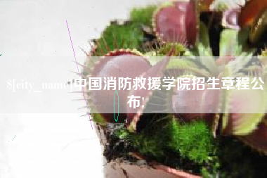 安溪中国消防救援学院招生章程公布!
