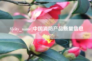 安溪中国消防产品质量信息