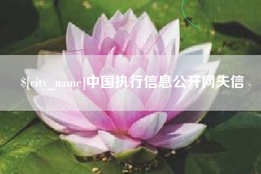 安溪中国执行信息公开网失信