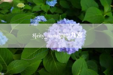 安溪2022九宫