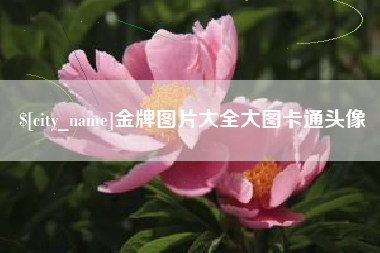 安溪金牌图片大全大图卡通头像