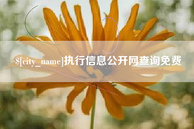 安溪执行信息公开网查询免费