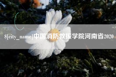 安溪中国消防救援学院河南省2020